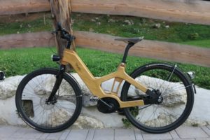 e-bike legno