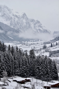 AMUS CHALETS: GREEN LUXURY