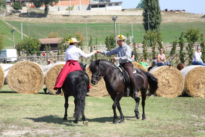 Rural Festival 2018 Rural Festival 2018