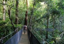 Destino verde costa rica