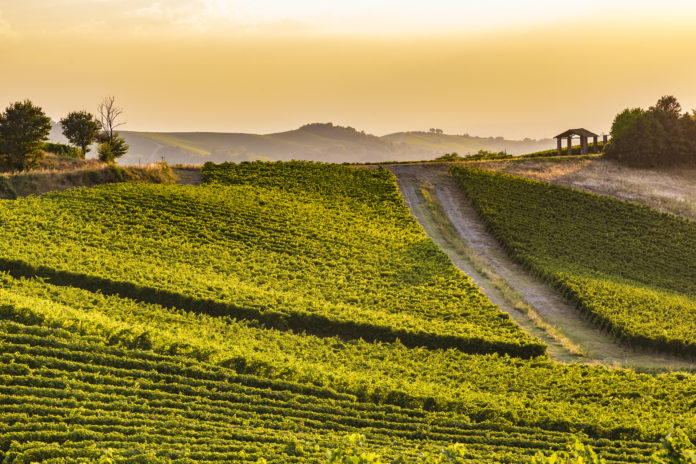 Oltrepò pavese Oltrepò pavese