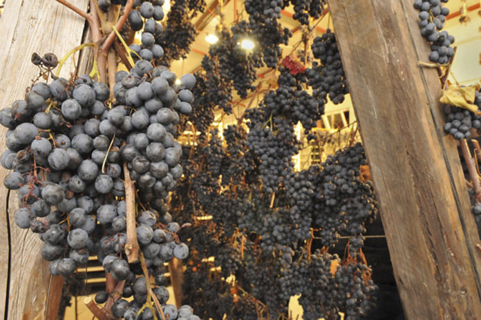 appassimenti Serrapetrona appassimenti Serrapetrona