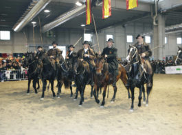 Fieracavalli