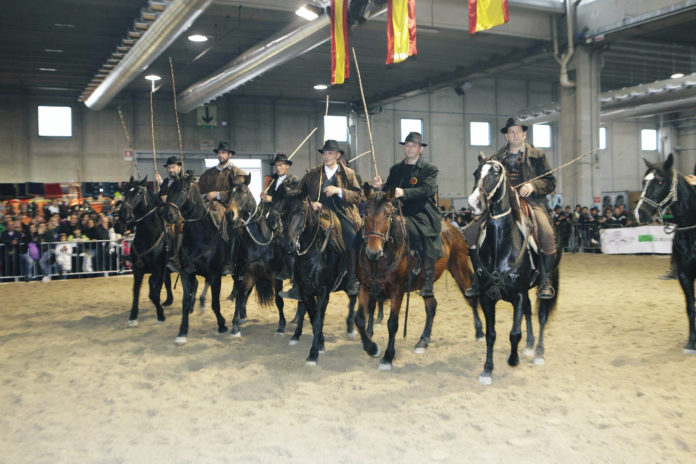 Fieracavalli