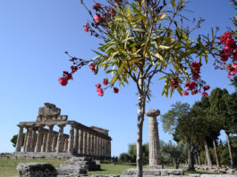 Paestum Tempio di Cerere