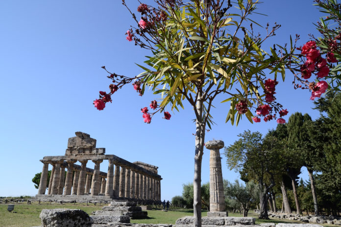 Paestum Tempio di Cerere Paestum Tempio di Cerere