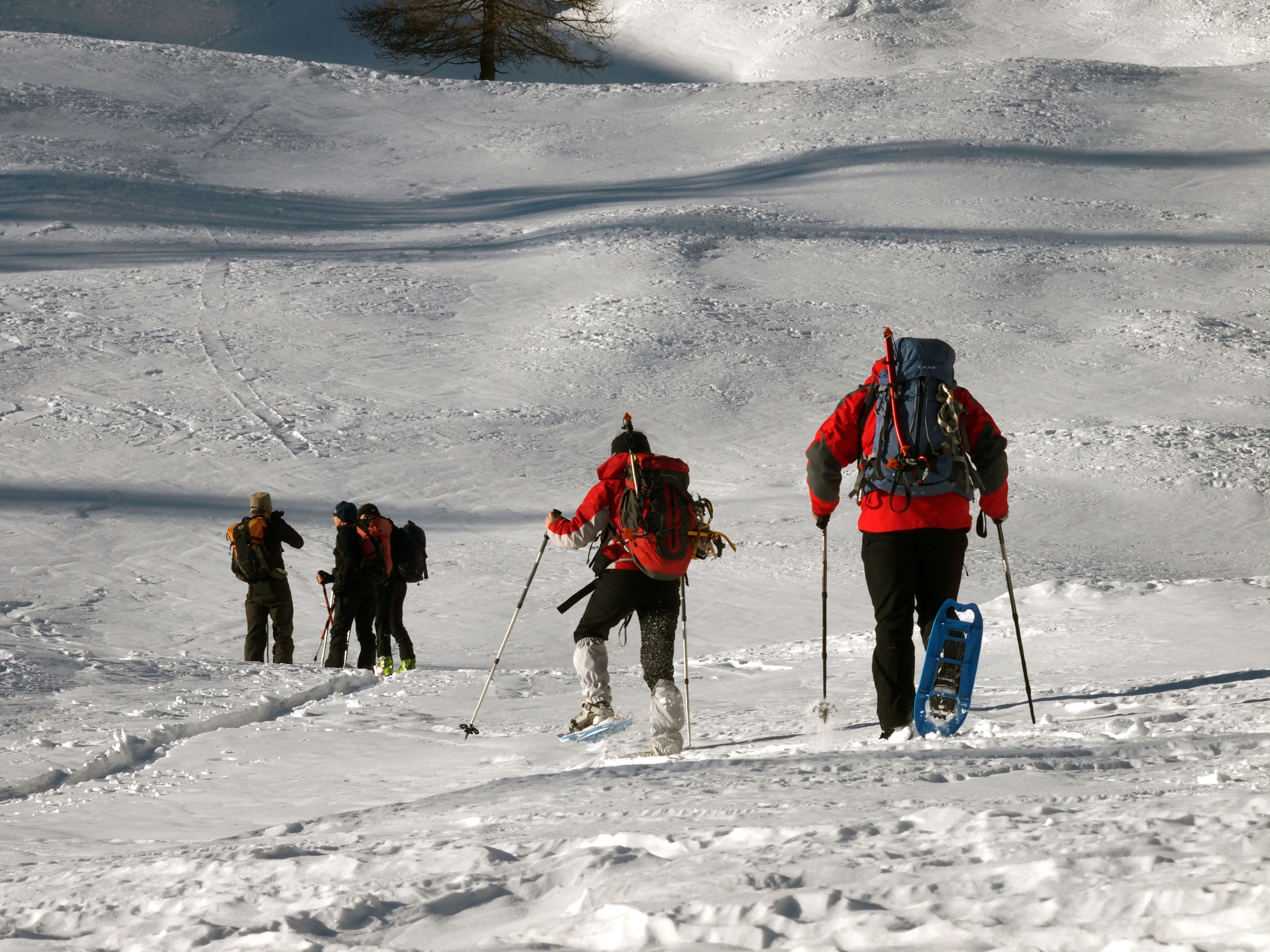 Parco Nazionale Gran Paradiso