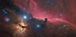 nebulosa Testa di Cavallo