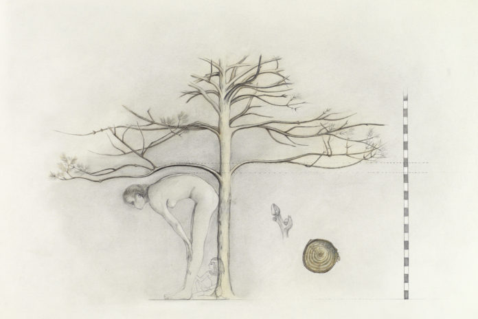 Birgit Jürgenssen Birgit Jürgenssen