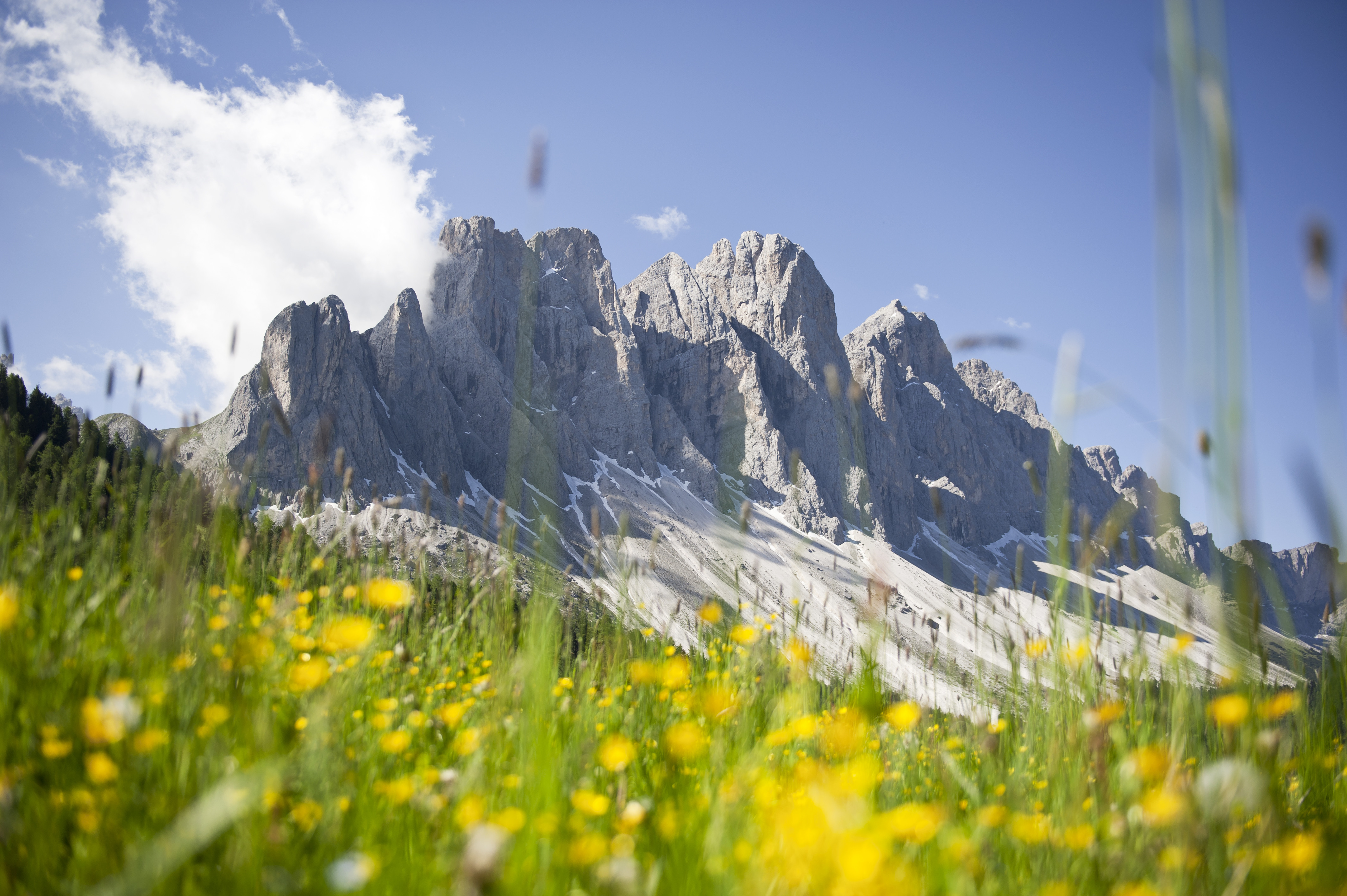 Alto Adige Balance