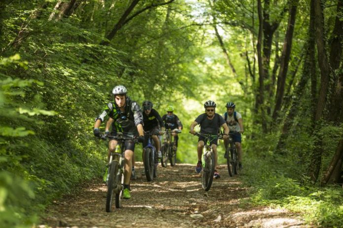 biciclette elettriche