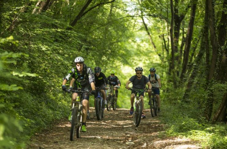 biciclette elettriche