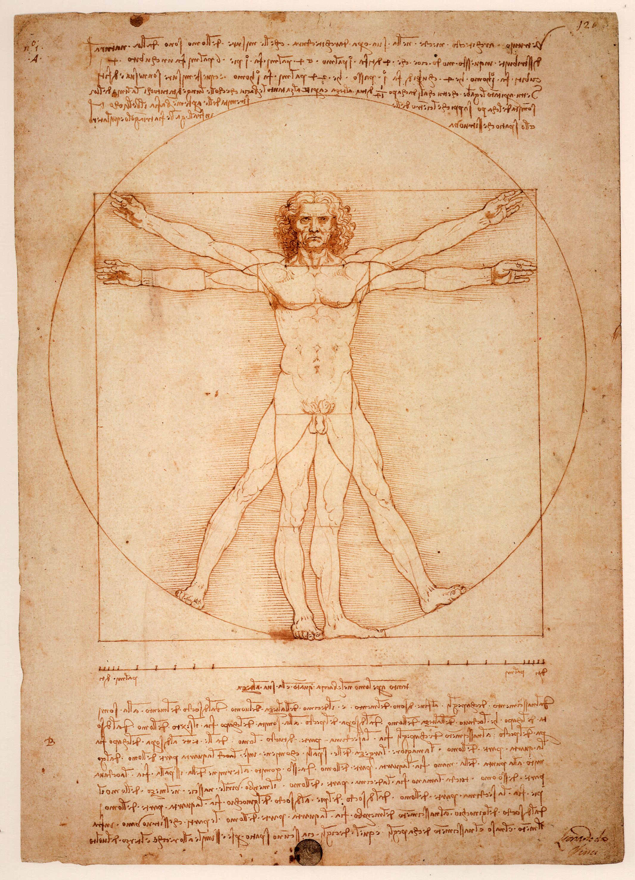 leonardo-da-vinci-uomo-vitruviano