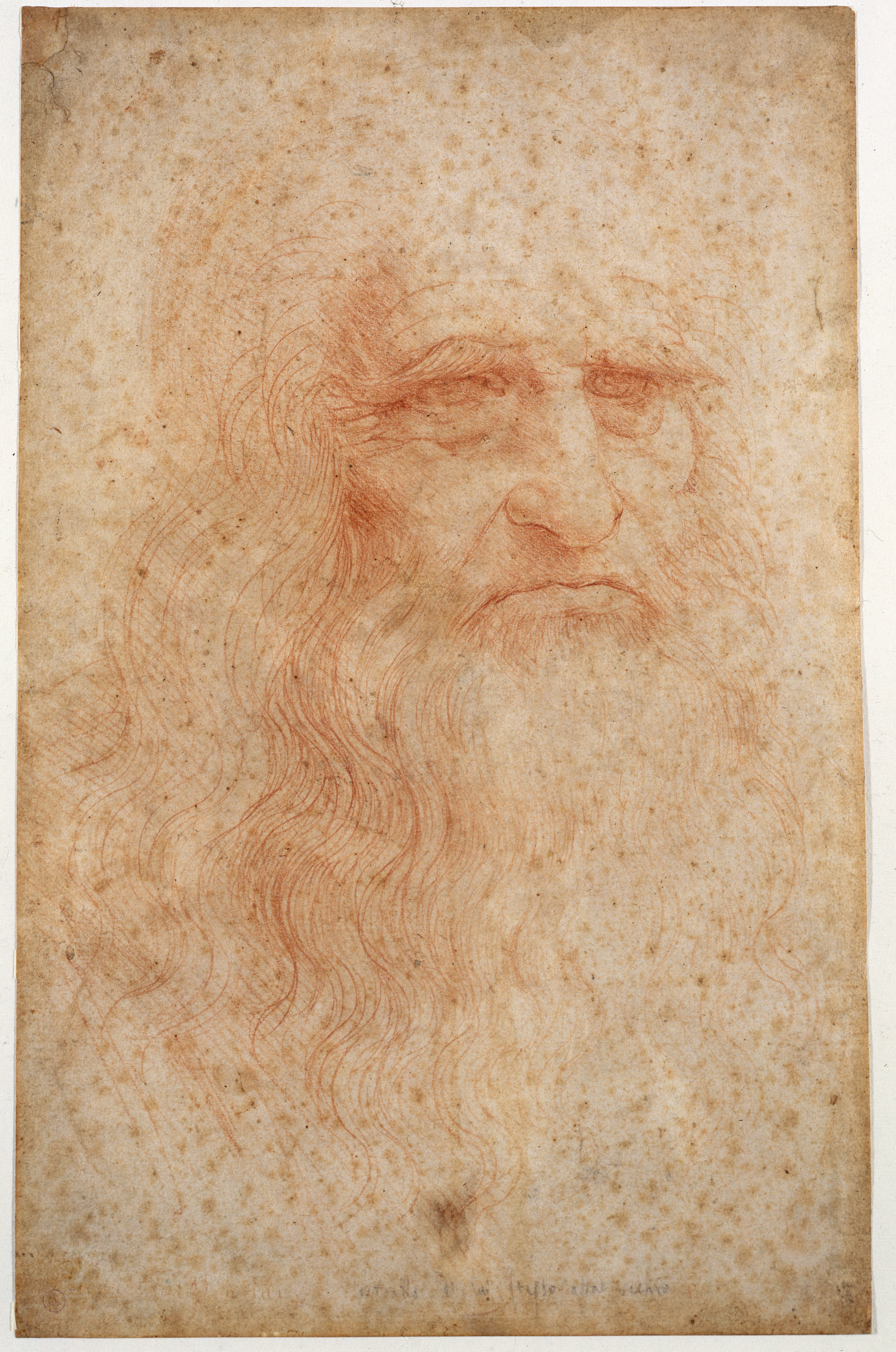 Leonardo AUTORITRATTO