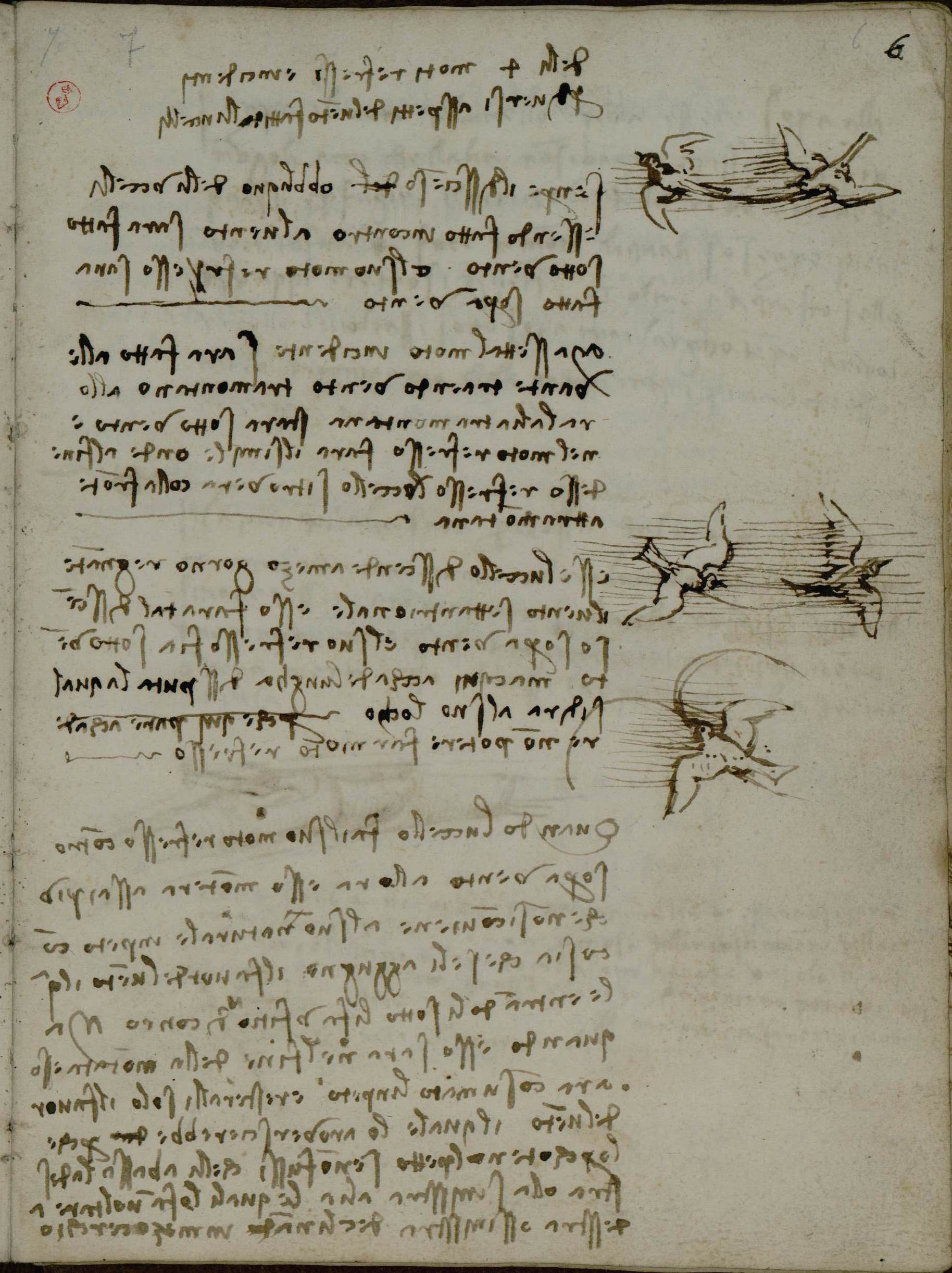 Leonardo VOLO di uccelli