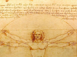 leonardo-da-vinci-uomo-vitruviano
