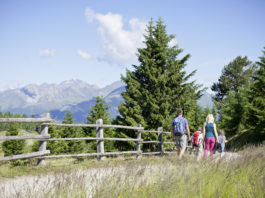 Alto Adige