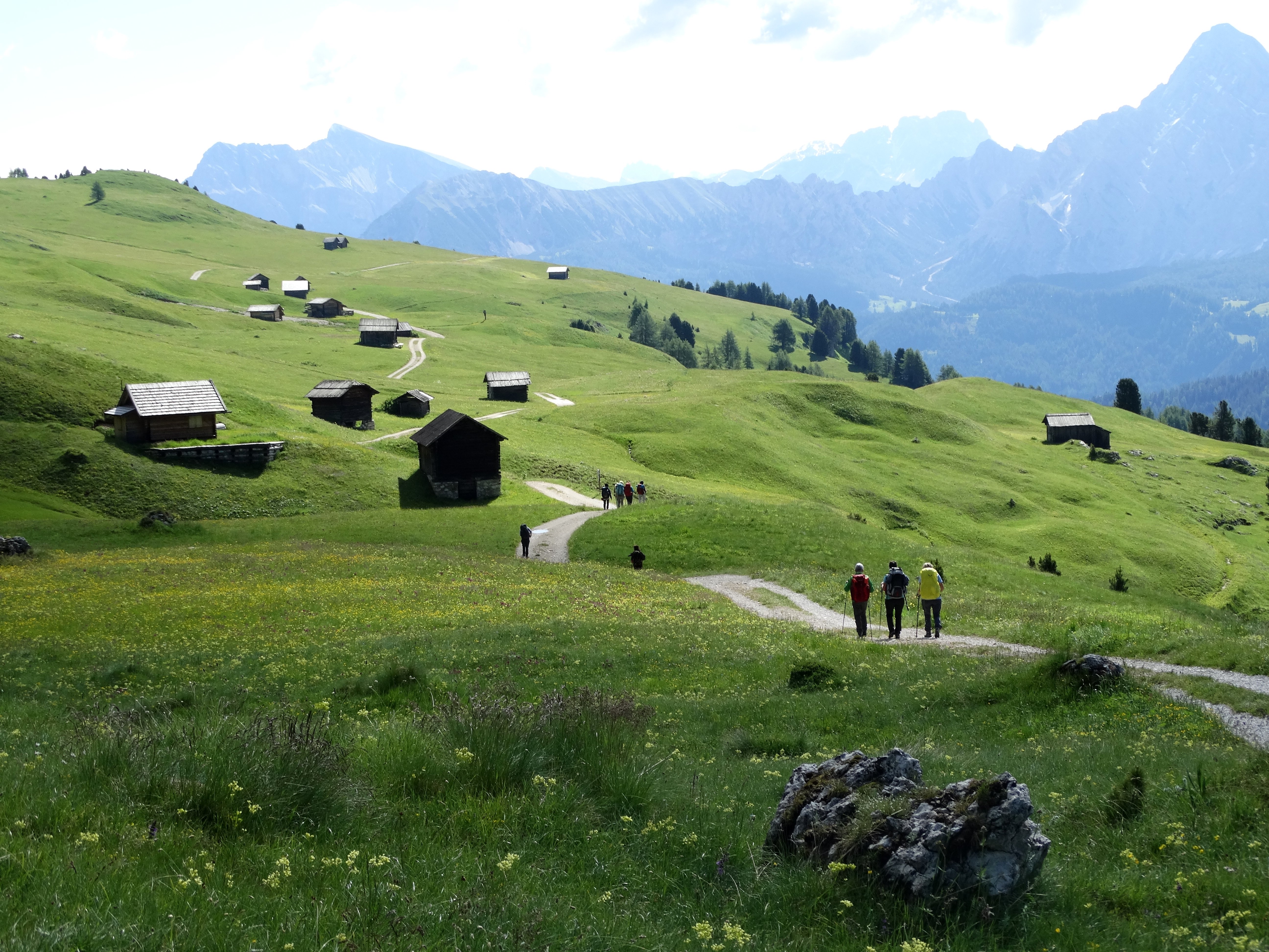 Camminare sulle Alpi