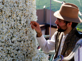 Festa del Narciso