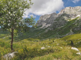 Friuli montagna estate