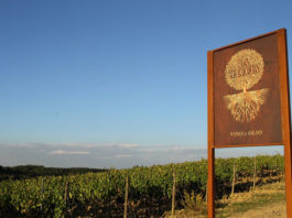 tenuta La Leccia