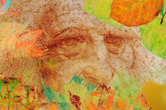 Leonardo bosco Leonardo bosco