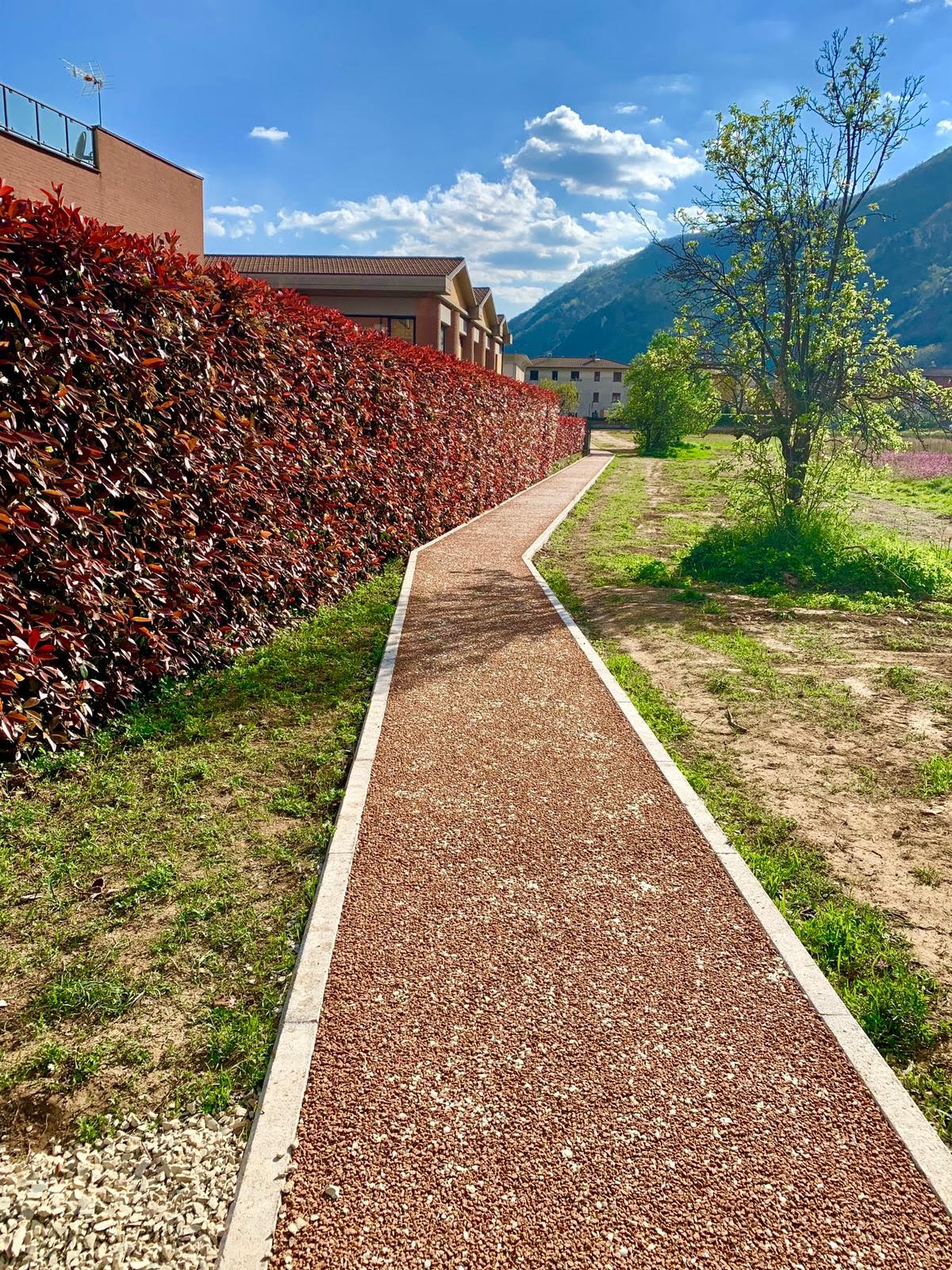 La pista ciclabile luminescente in Lucchesia 2