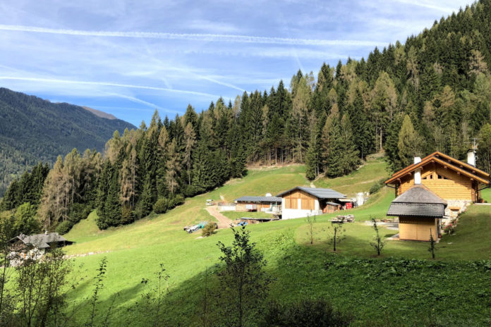 Sedia-Rossa Mezzano di Primiero