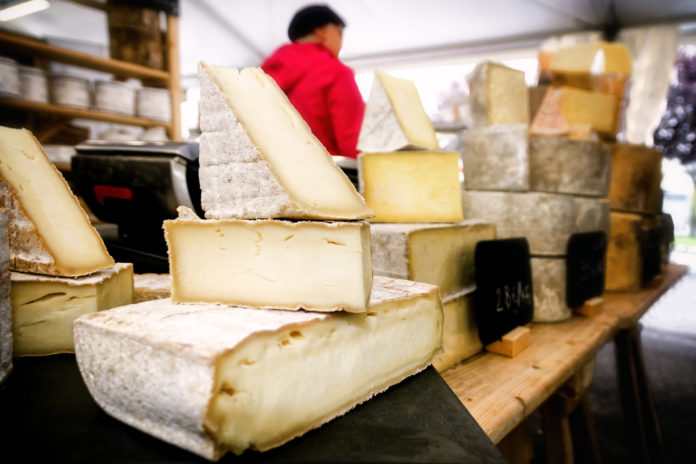 Cheese Bra Cheese Bra