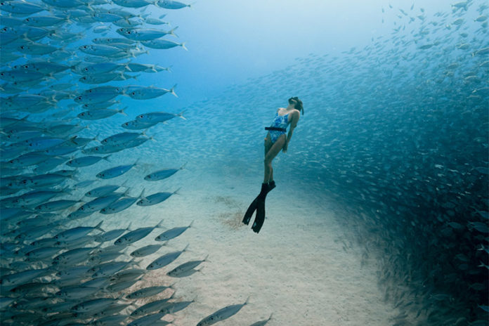 Photo by Travis Burke, Freediver Chelsea Yamasee Mres horizontal
