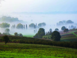 IT.A.CÀ MONFERRATO 2018 (9)