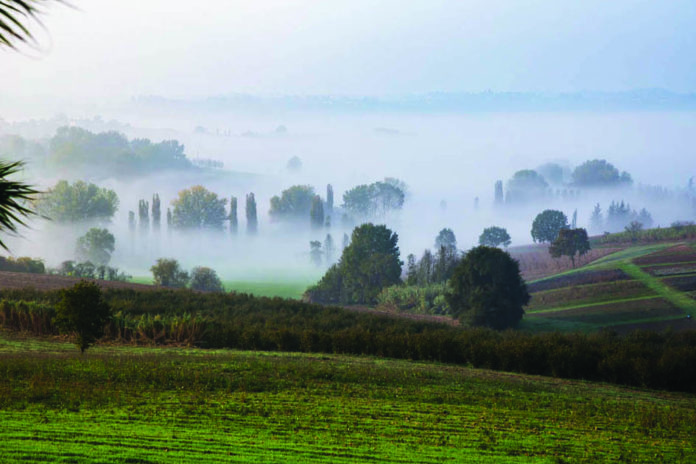 IT.A.CÀ MONFERRATO 2018 (9)