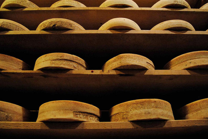 cheese 2019