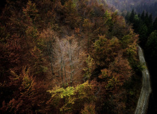 Oasi Zegna (BI) – Foliage d’autunno, dal 5 ottobre al 10 novembre