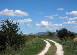 Colli Euganei e Bassa Padovana (PD) – #daiColliallAdige, dal 4 al 31 ottobre