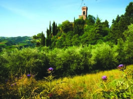 BRISIGHELLA TORRE DELL OROLOGIO