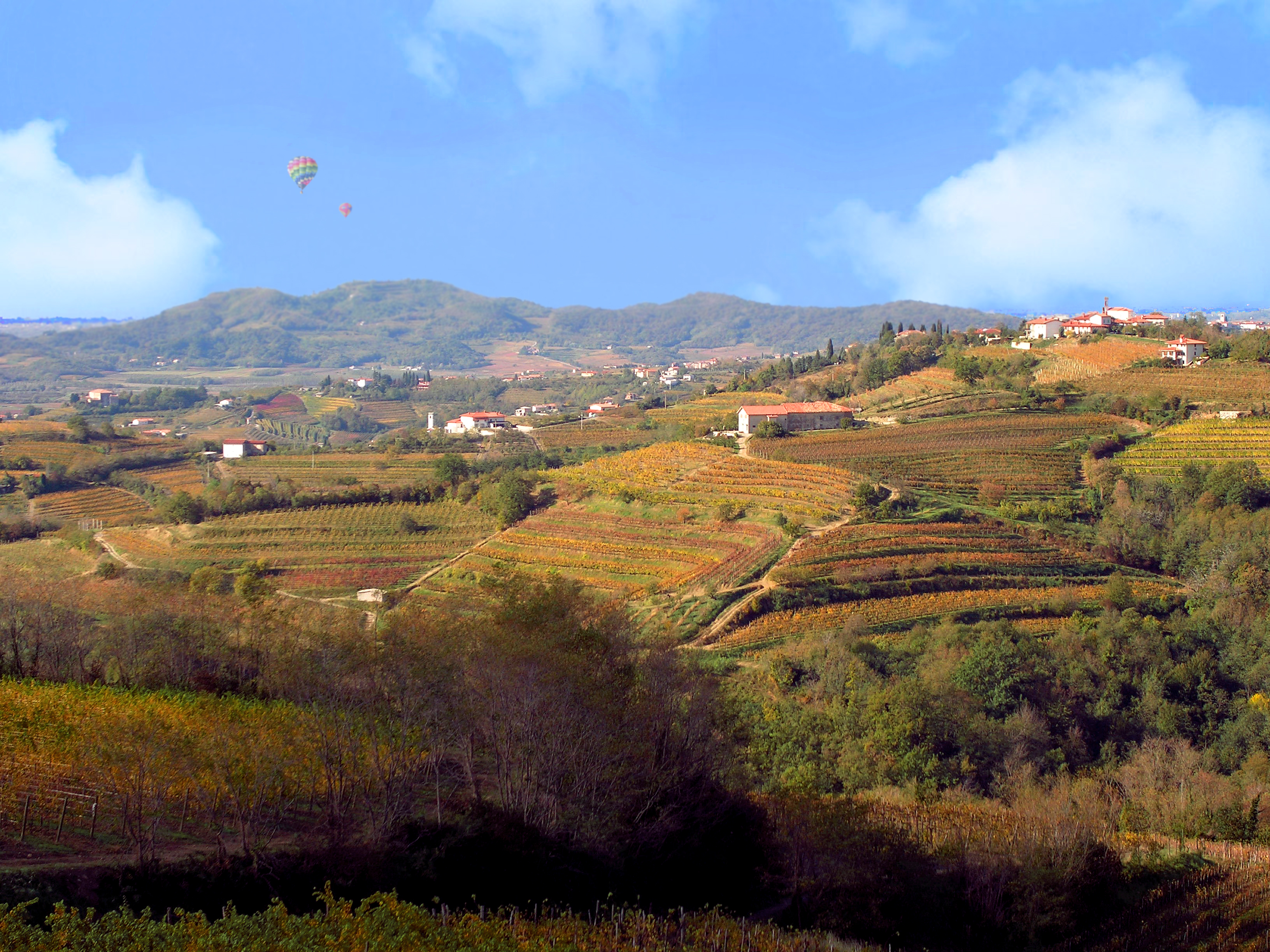 Cantine_Aperte_San_Martino_FVG