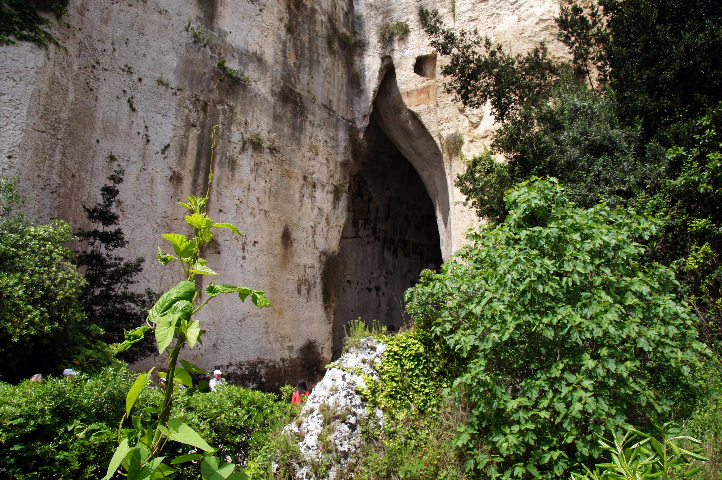 Orecchio di Dionisio 