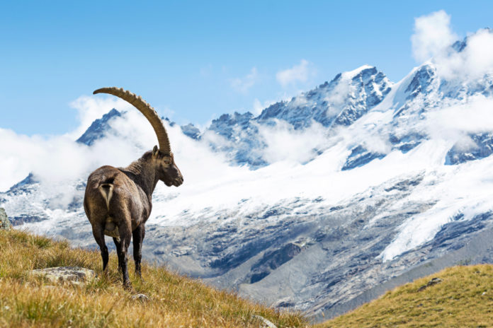 shutterstock_325956371