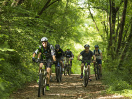 Bergamo BikeUP