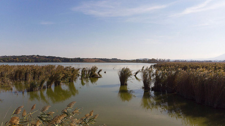 Riserva Naturale Regionale del Lago di Montepulciano