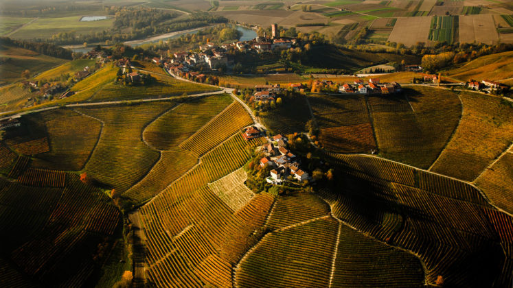 Enogastronomia in Piemonte