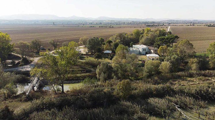 Riserva Naturale Regionale del Lago di Montepulciano