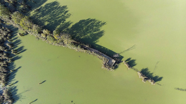 Riserva Naturale Regionale del Lago di Montepulciano