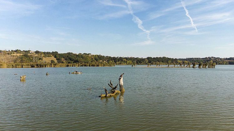 Riserva Naturale Regionale del Lago di Montepulciano