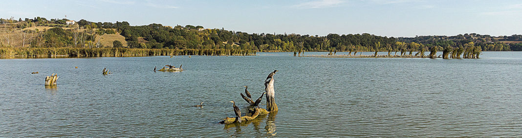 Riserva Naturale Regionale del Lago di Montepulciano