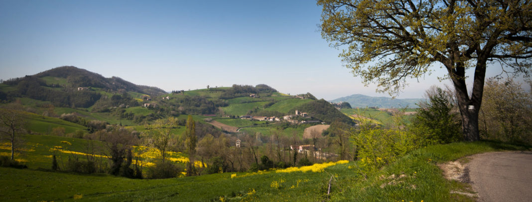 Le Colline del Parmigiano Reggiano DOP