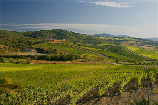 La Cantina Rocca di Frassinello