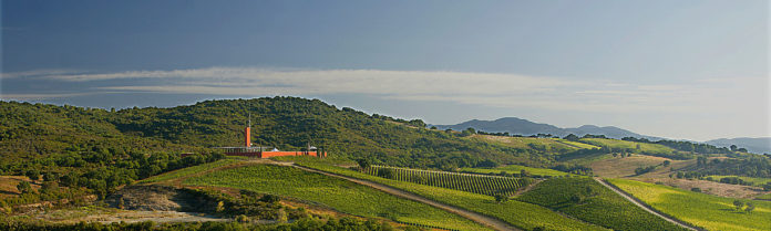 Cantina Rocca di Frassinello