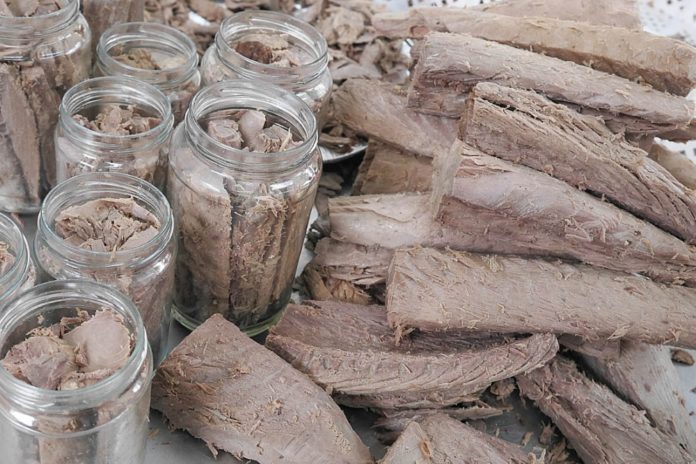 Tonno rosso - Cilento